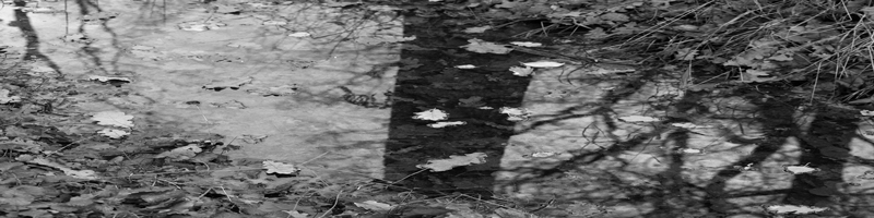 soundsurface_home_banner