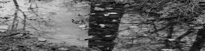 soundsurface_info_banner