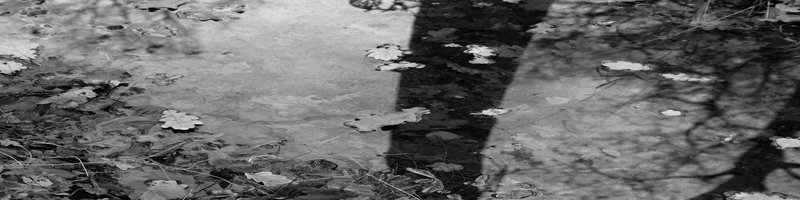 soundsurface_releases_banner