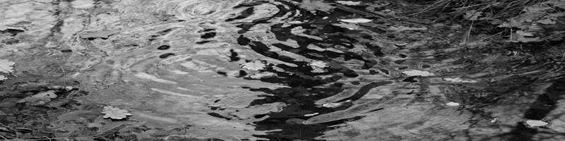 soundsurface_secrets_banner